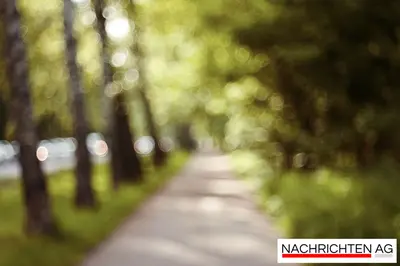 Warnung im Main-Spessart: Asiatische Hornisse bedroht Imker und Natur!