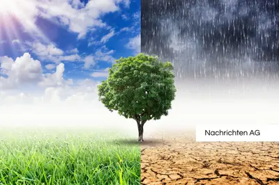 Energiewende vor Ort: Kommunen zeigen Weg zu nachhaltiger Wärmeversorgung!
