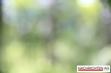 Landrat Bayerstorfer lädt zur Sprechstunde: Ihre Fragen zählen!