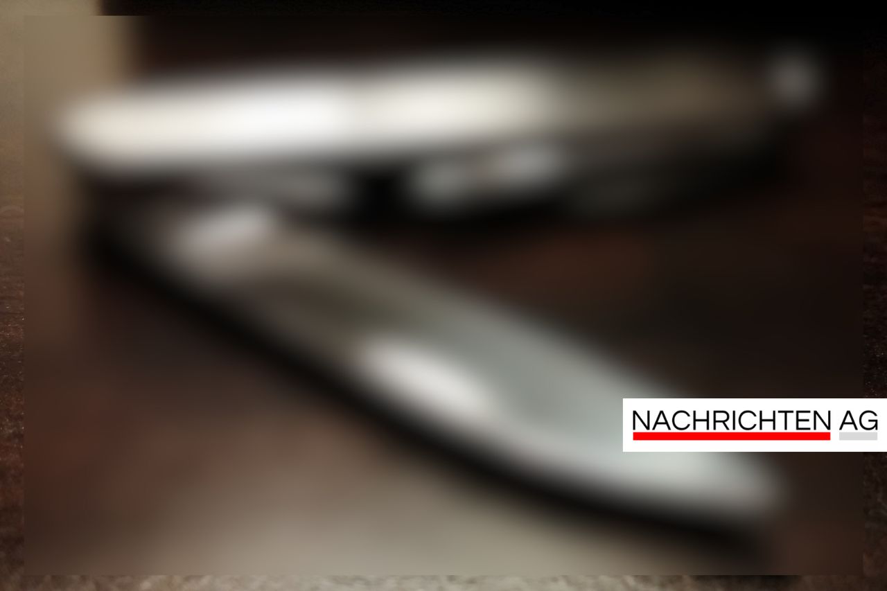 Verbotene Böller und Messer: Blitzkontrolle am Grenzübergang!