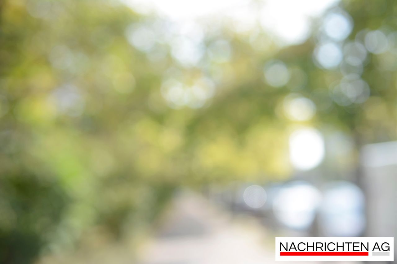 Frauenpower im Wald: Motorsägenkurs für mutige Teilnehmerinnen in Landshut