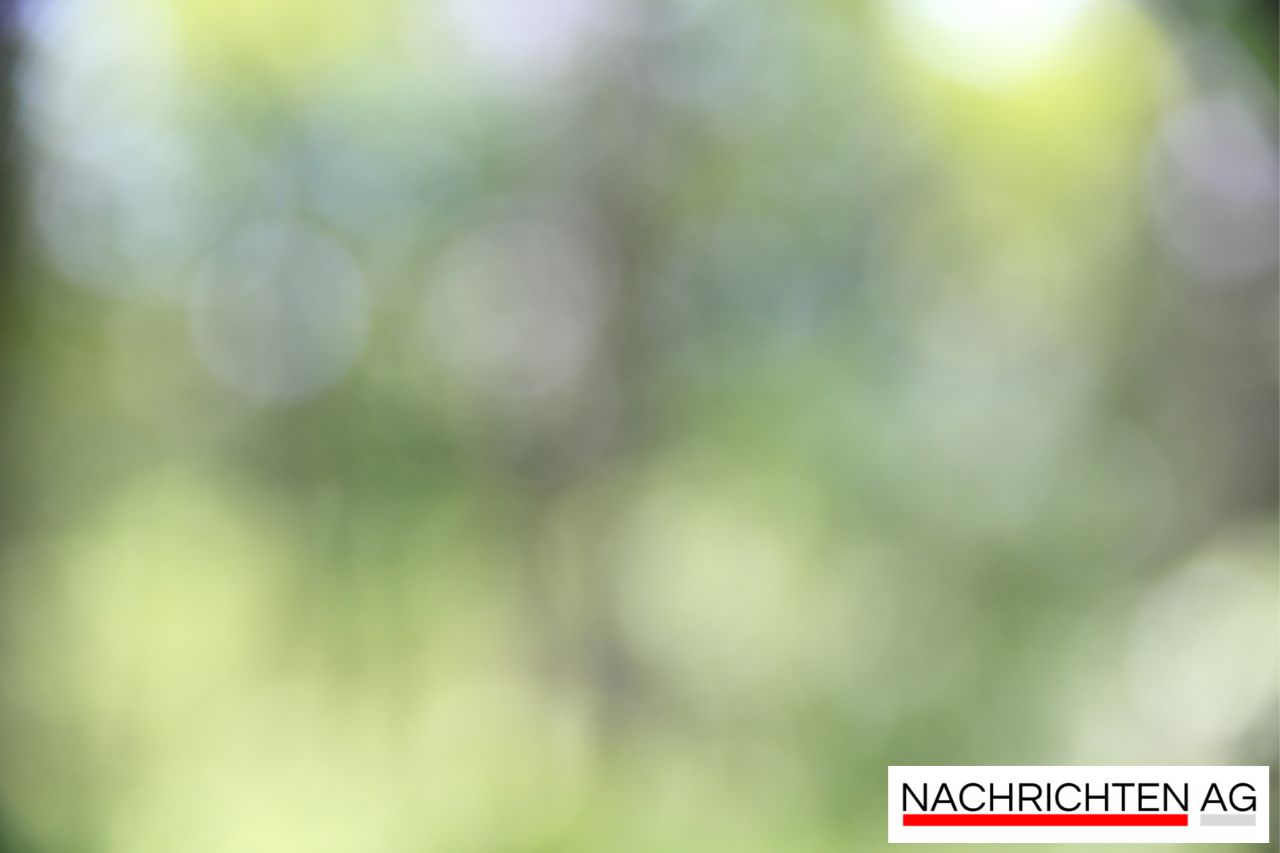 Kulinarische Revolution in Gunzenhausen: Neue Genüsse und geschlossene Türen!